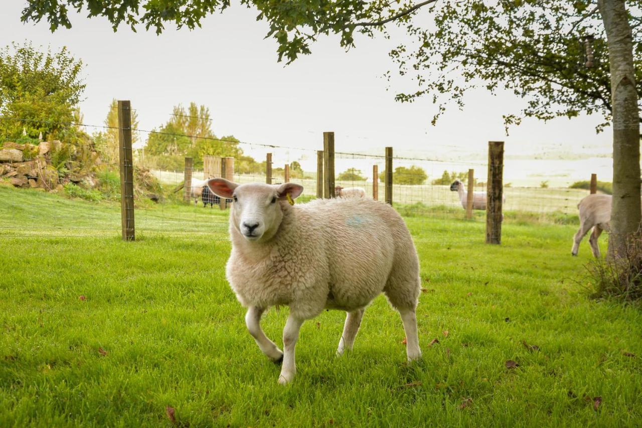 The Studio At Pitmeadow Farm Dunning المظهر الخارجي الصورة