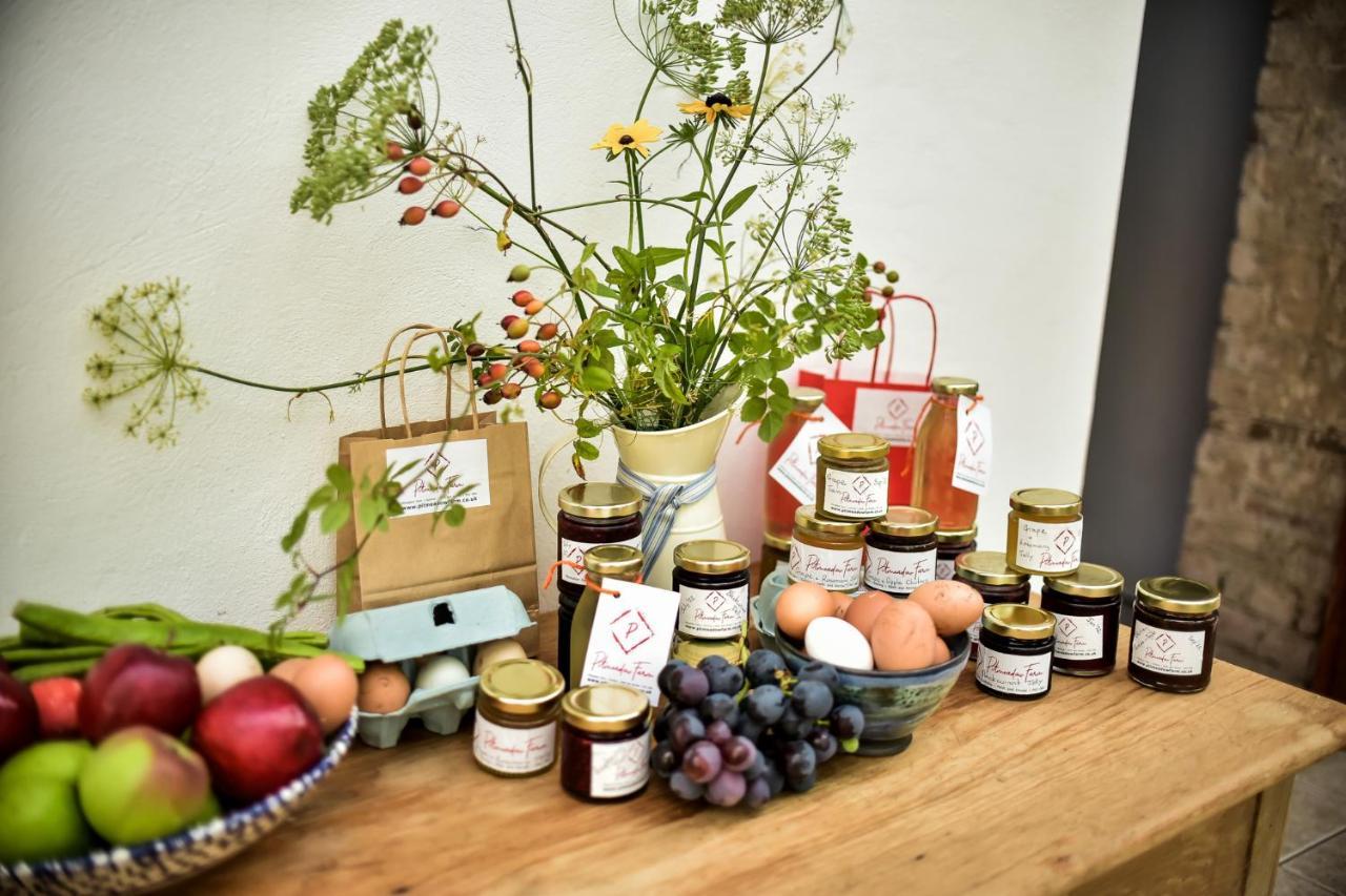 The Studio At Pitmeadow Farm Dunning المظهر الخارجي الصورة
