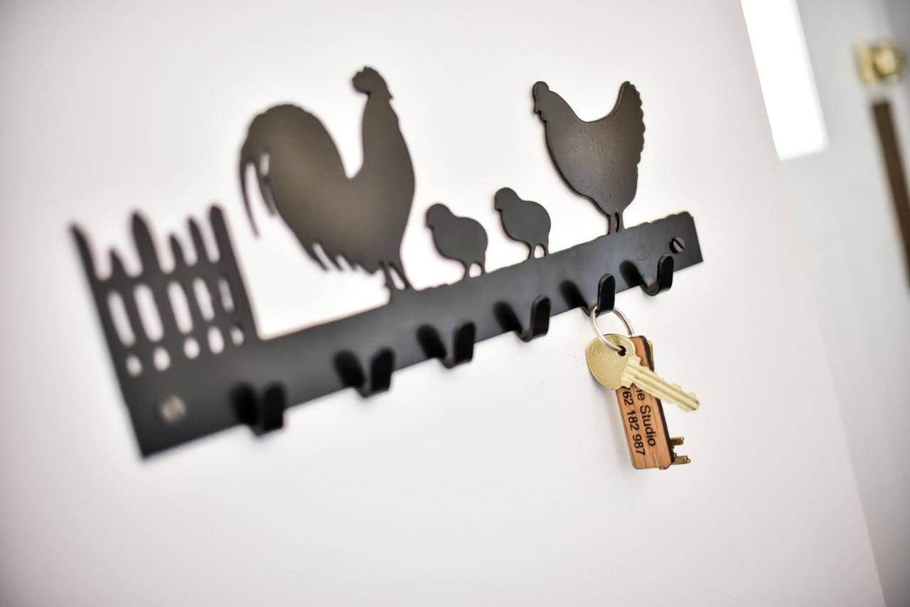 The Studio At Pitmeadow Farm Dunning المظهر الخارجي الصورة